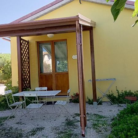 Agriturismo I Ciliegi Appartamento Ginestra Montignano Bagian luar foto