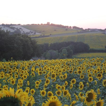 Agriturismo I Ciliegi Appartamento Ginestra Montignano Bagian luar foto