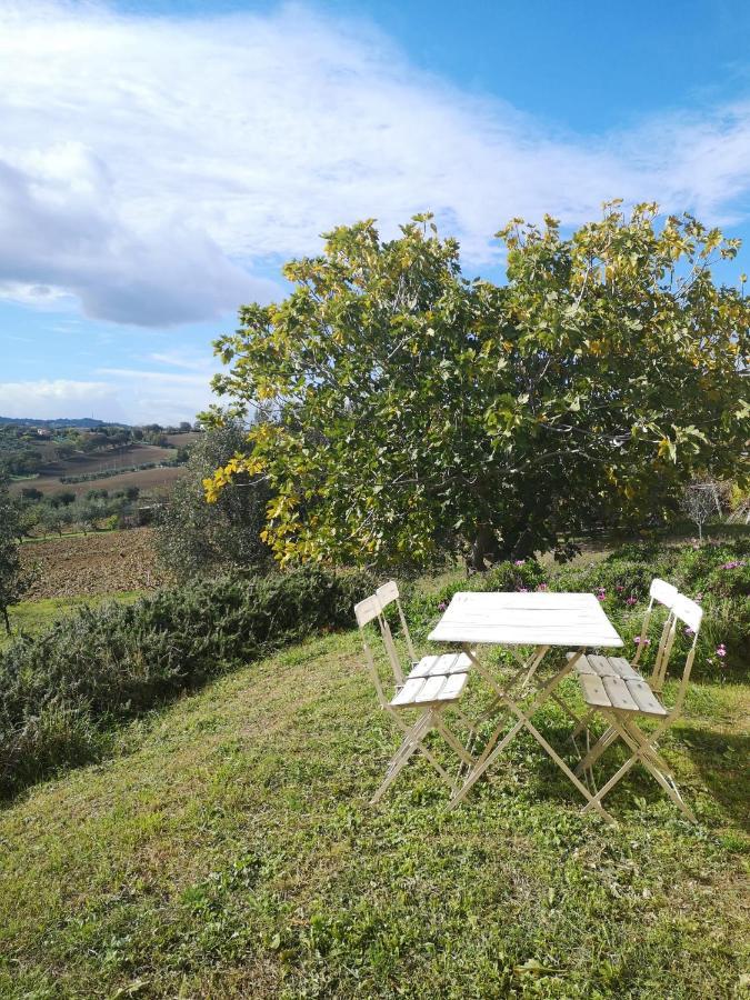 Agriturismo I Ciliegi Appartamento Ginestra Montignano Bagian luar foto