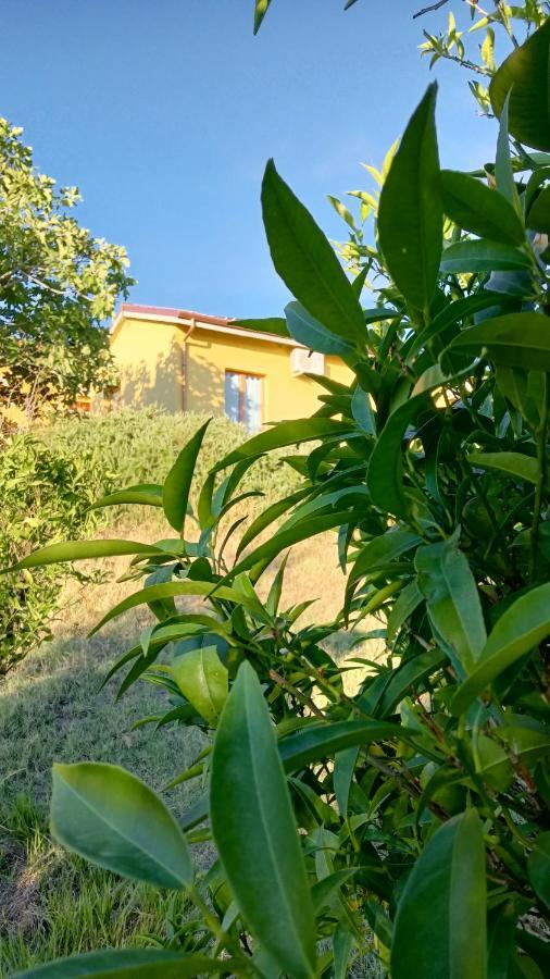 Agriturismo I Ciliegi Appartamento Ginestra Montignano Bagian luar foto
