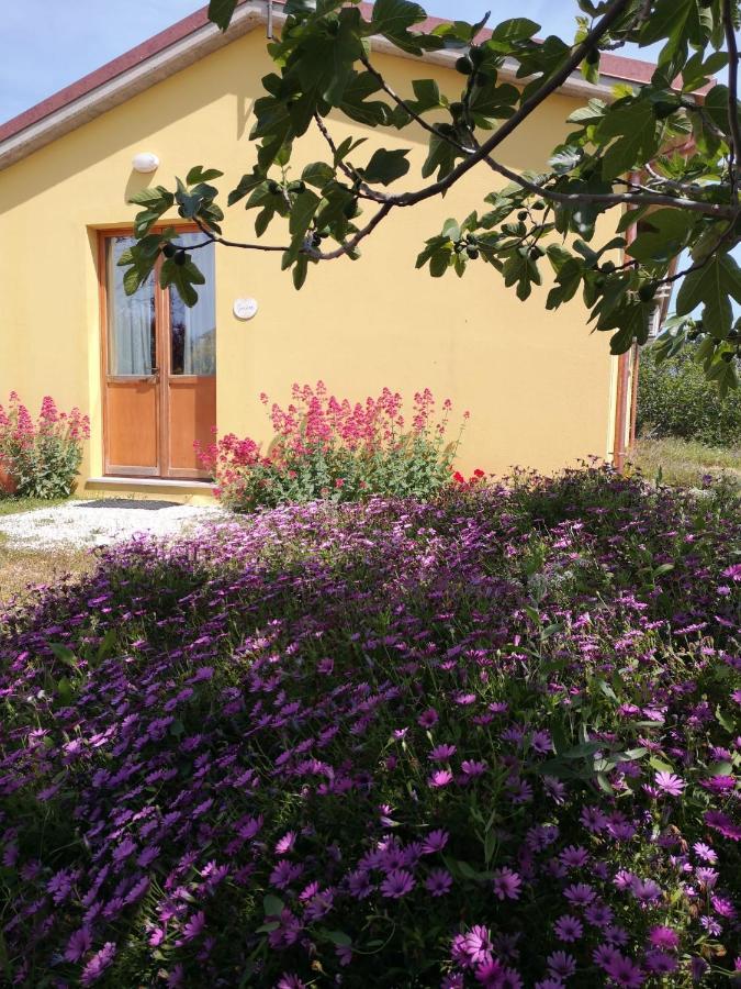 Agriturismo I Ciliegi Appartamento Ginestra Montignano Bagian luar foto